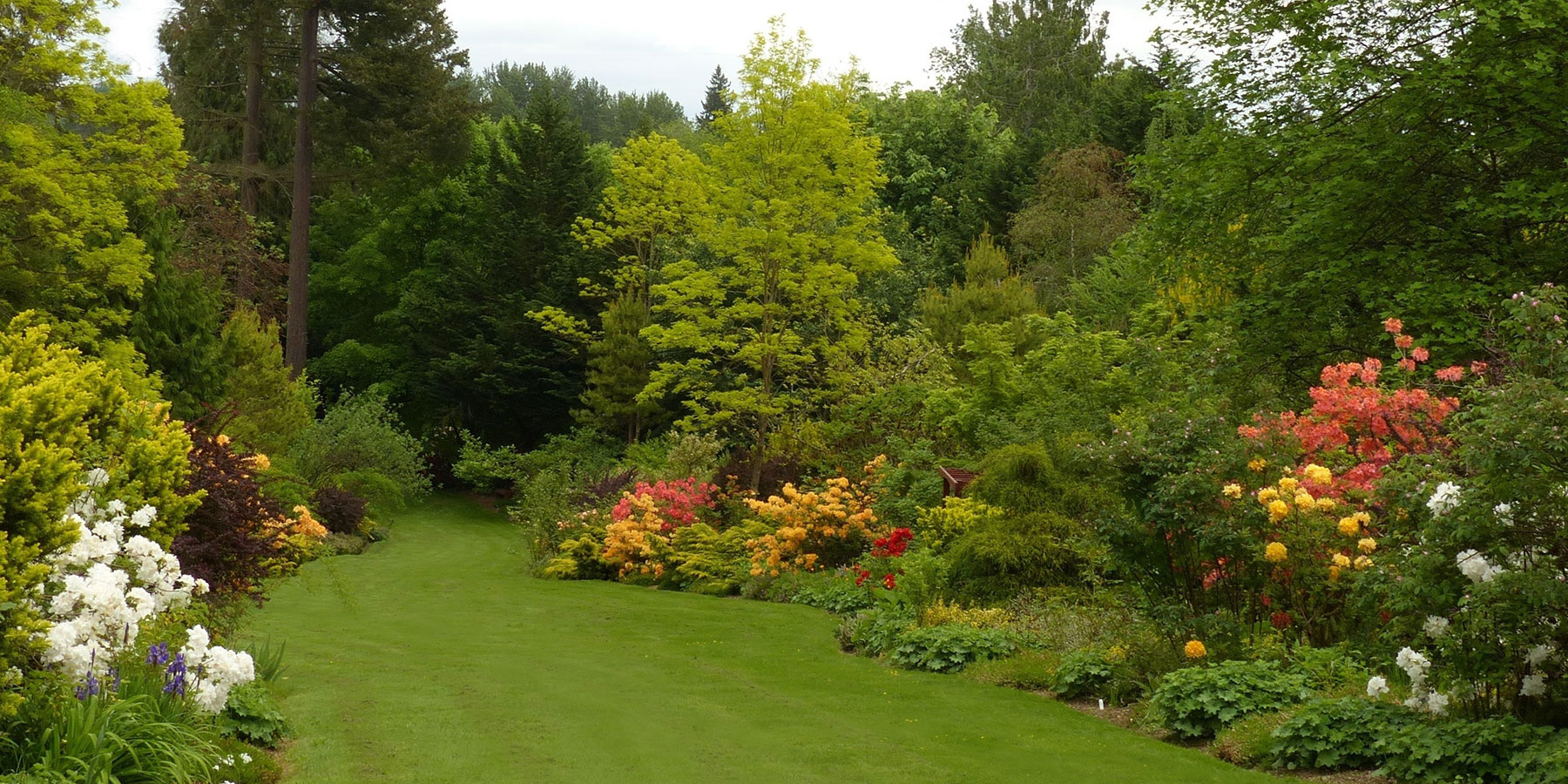 Soos Creek Botanical Garden Soos Creek Botanical Garden