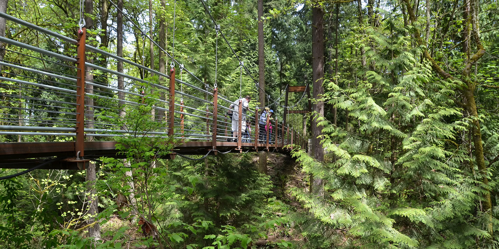 Bellevue Botanic Garden suspension bridge