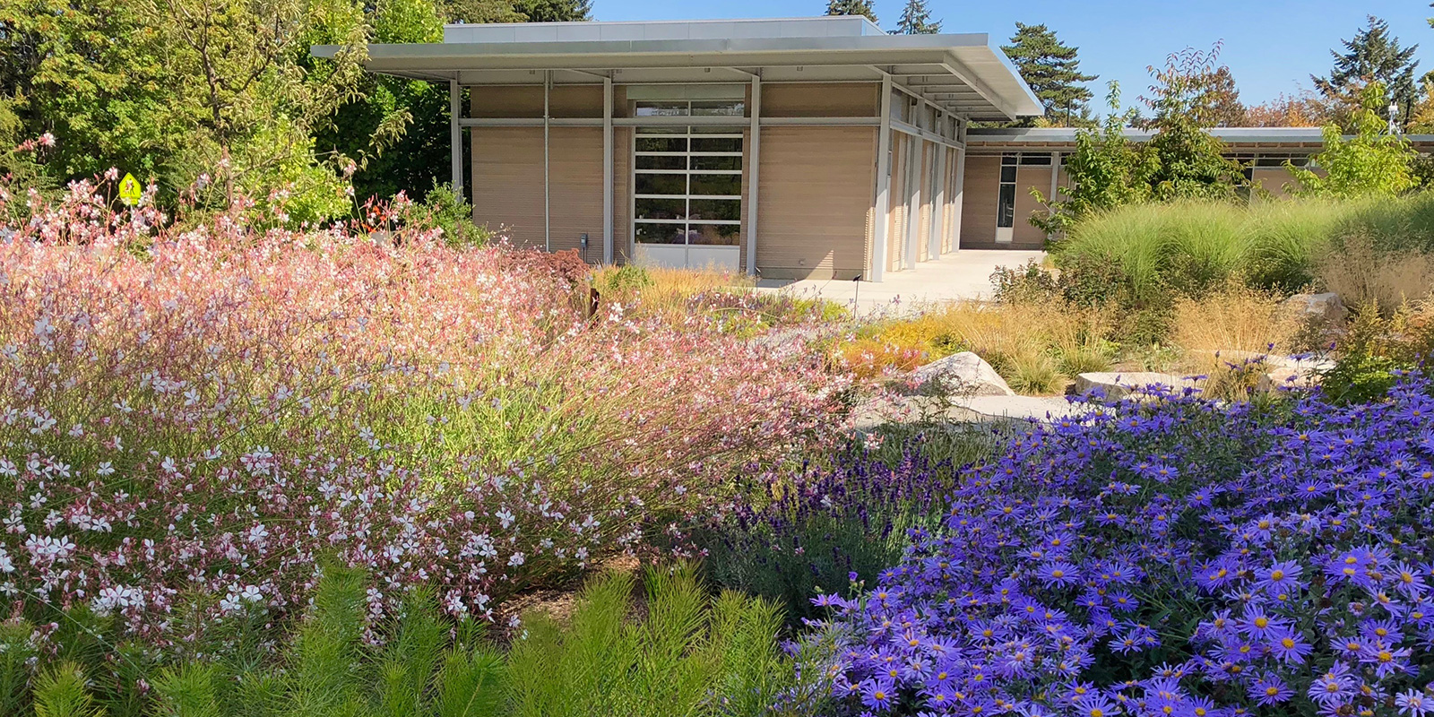 Bellevue Botanic Garden visitor center