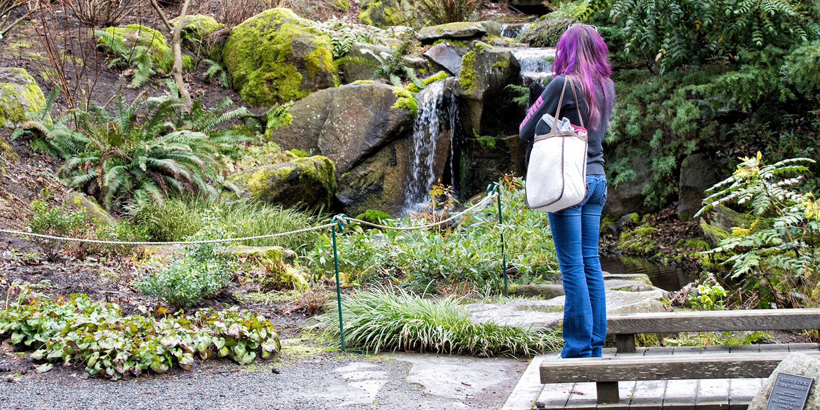 Bellevue Botanic Garden water feature