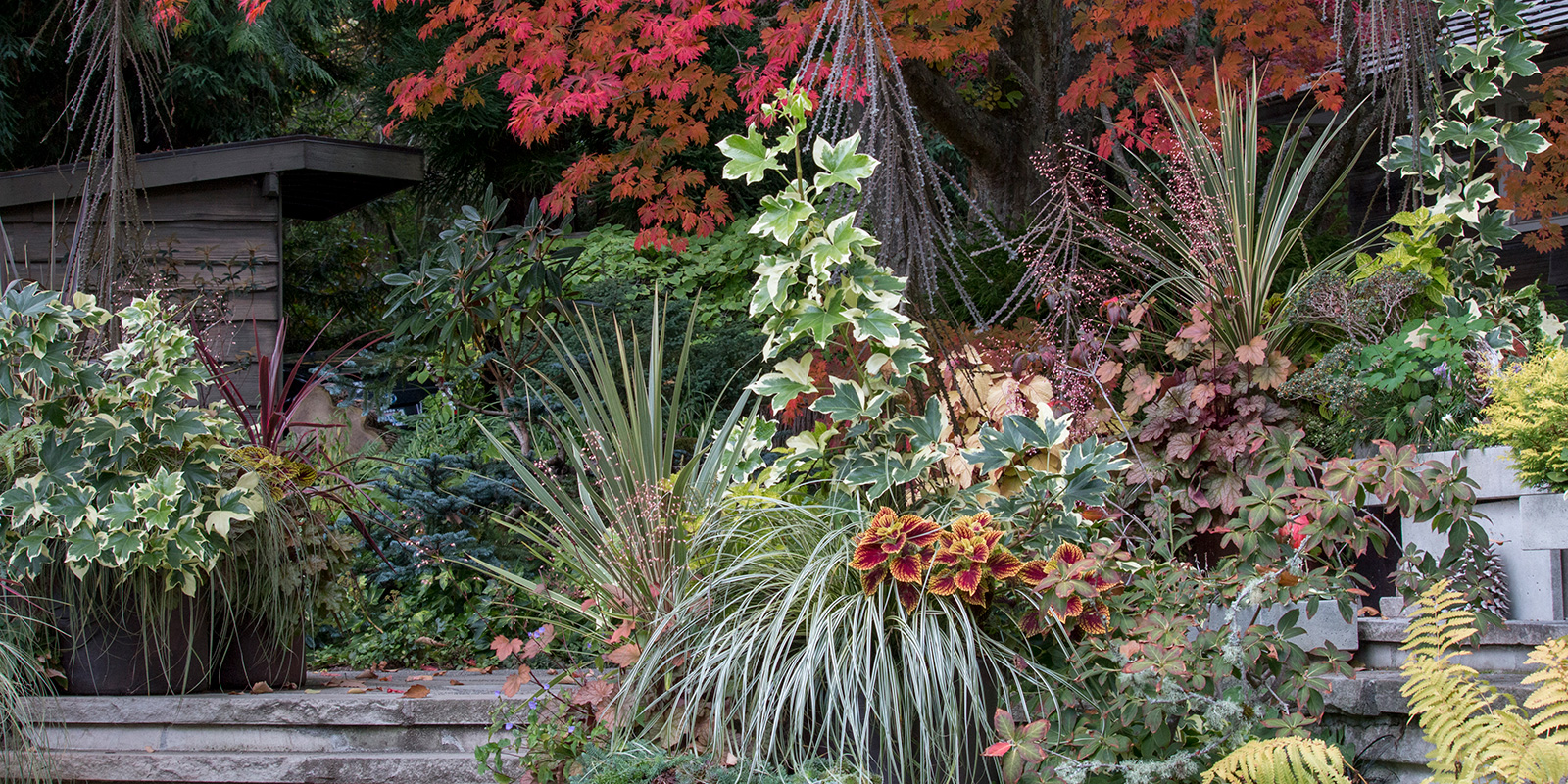 EMBG dining room terrace