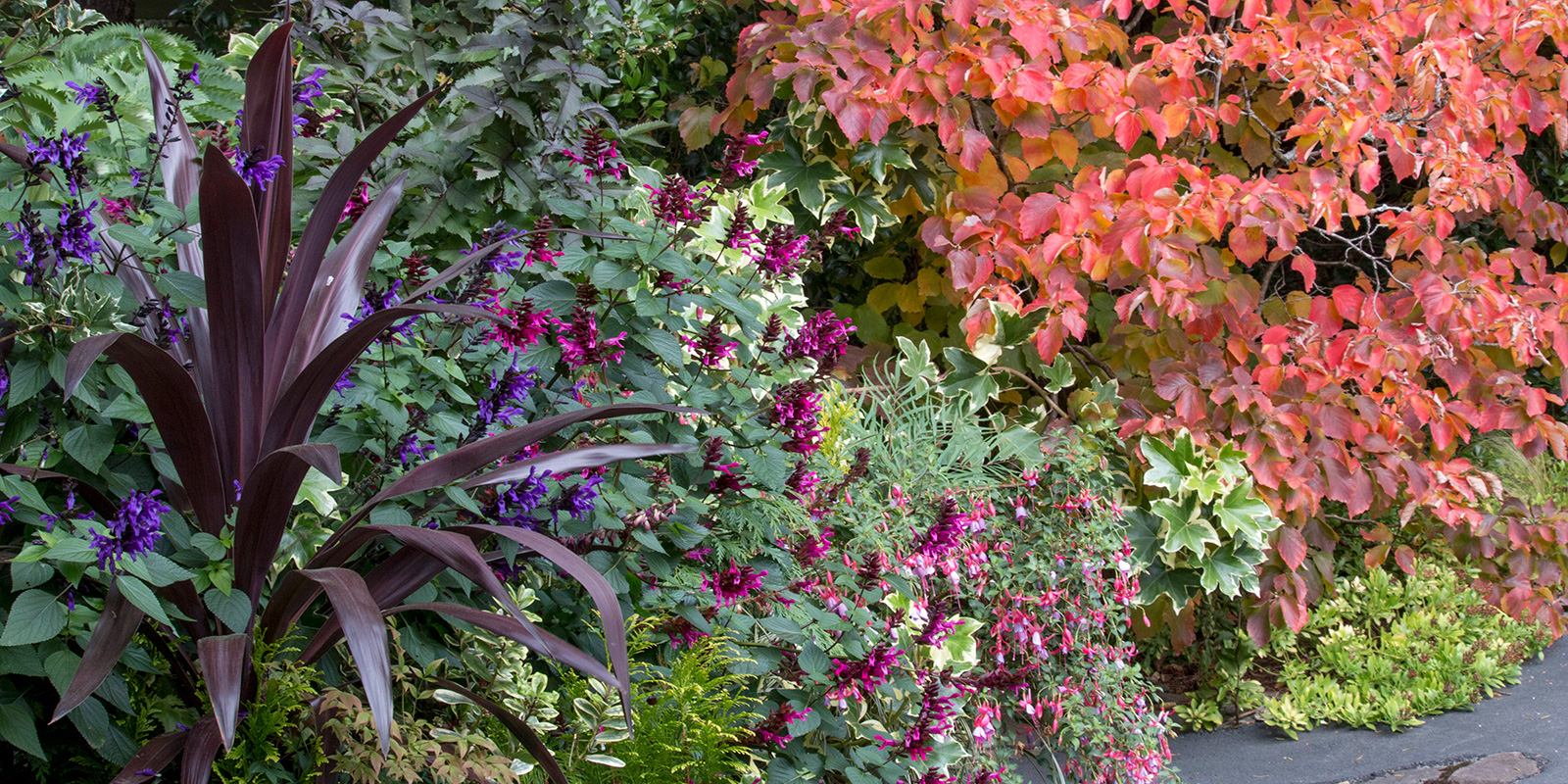 EMBG parking lot plantings