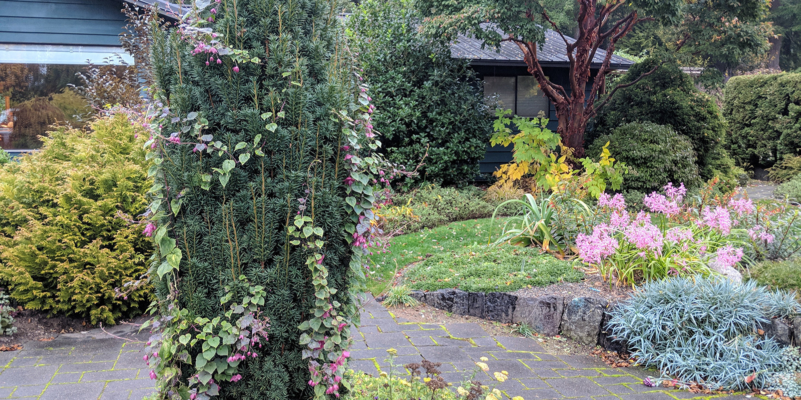 Heronswood Gardens, potager, Kingston, WA