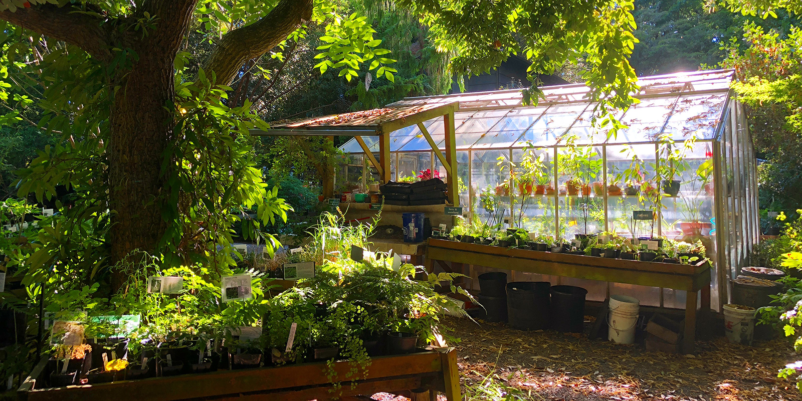 Kruckeberg Botanic Garden greenhouse