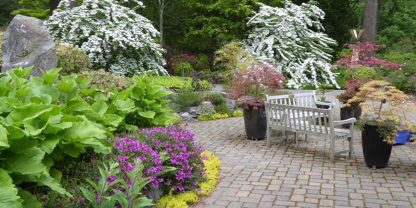 Rhododendron Species Foundation terrace