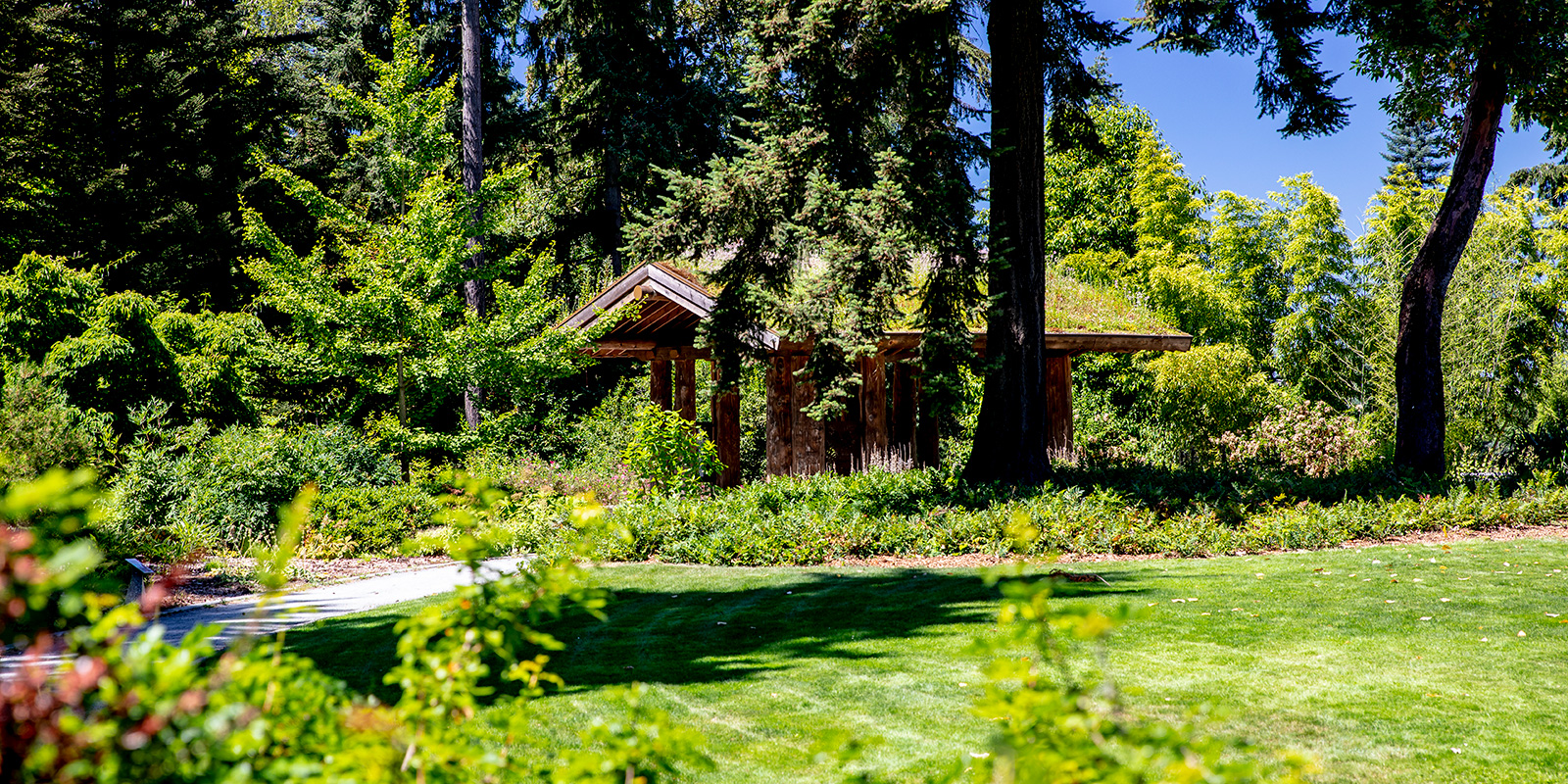 Arboretum Pacific Connections