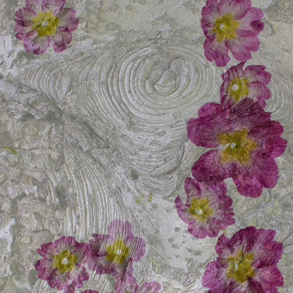 Laura Brodax gallery image