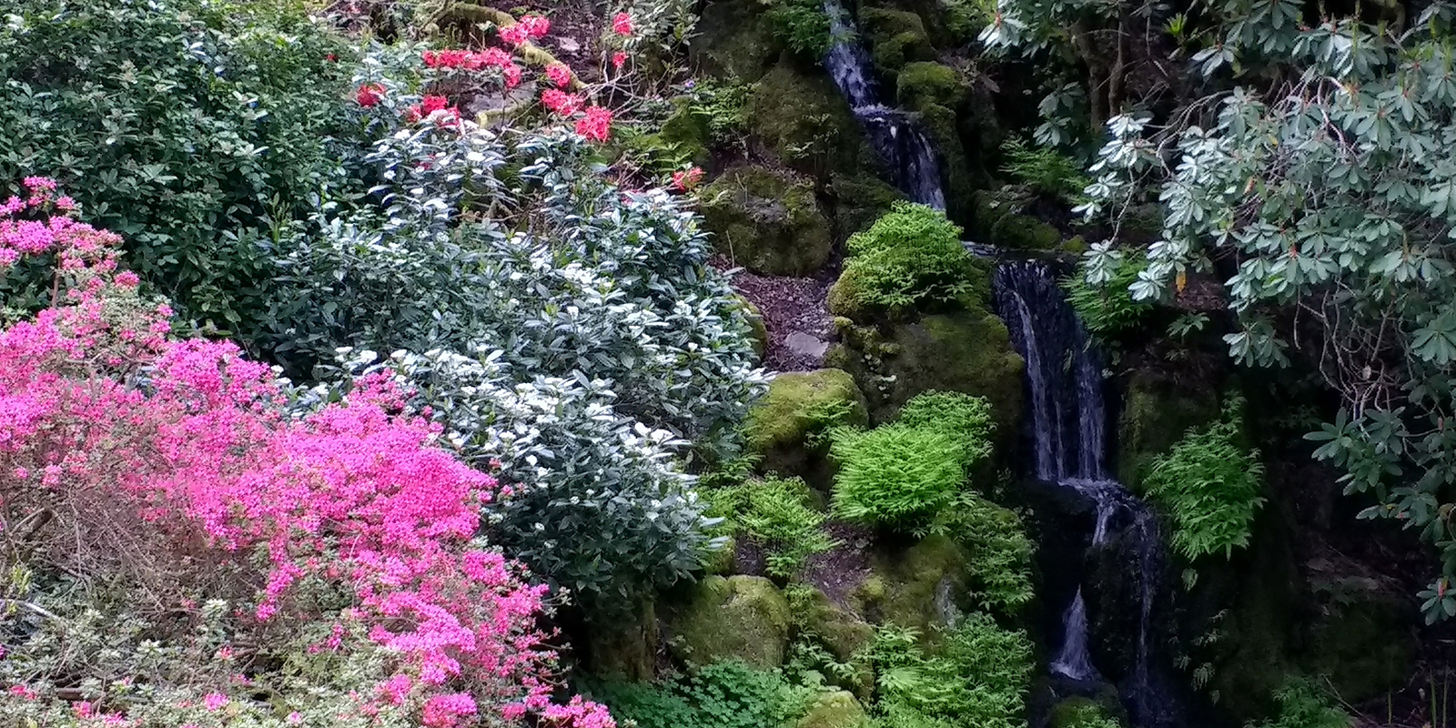 Bloedel Waterfall