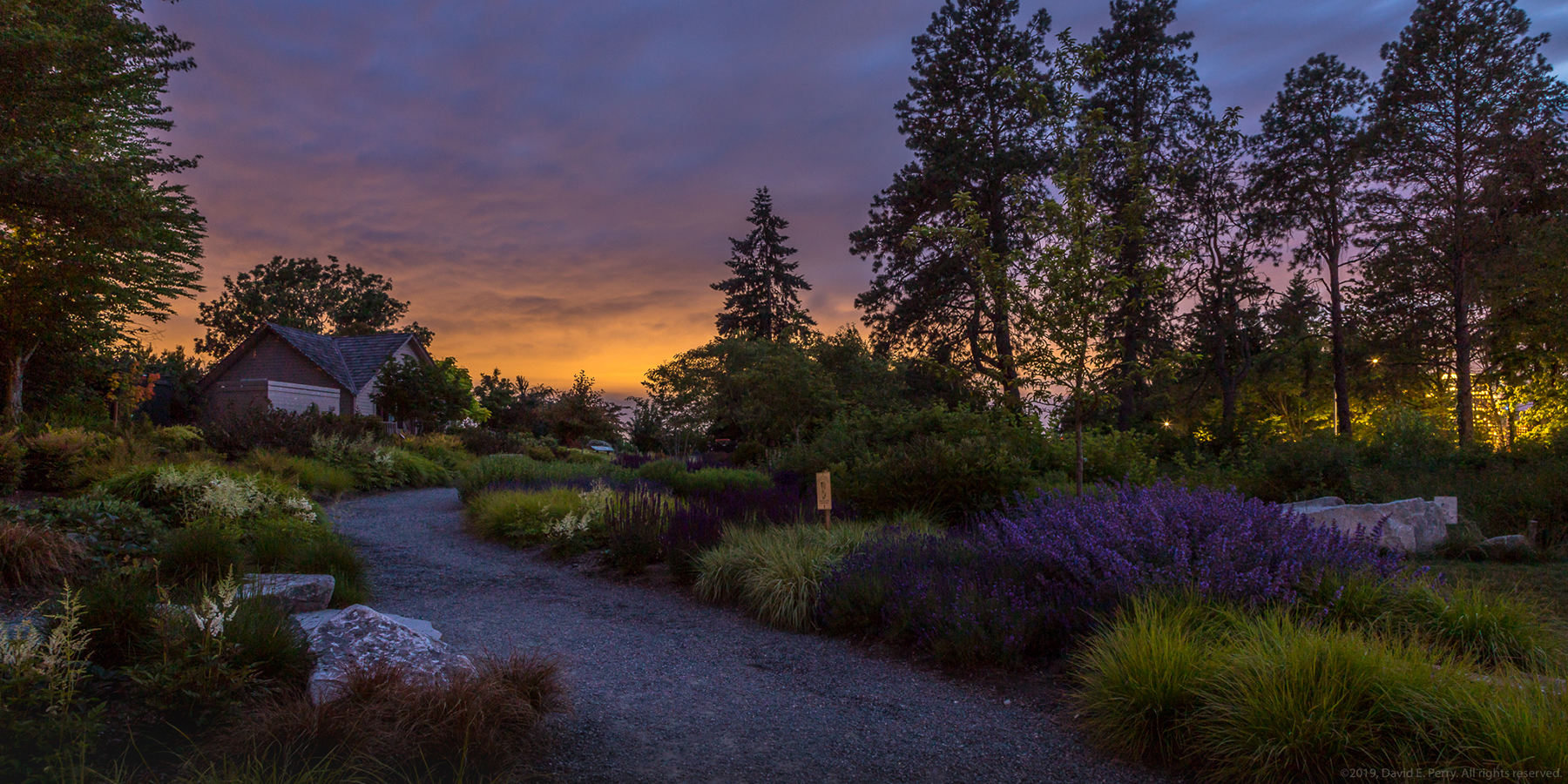 BBG perennial border, David E. Perry