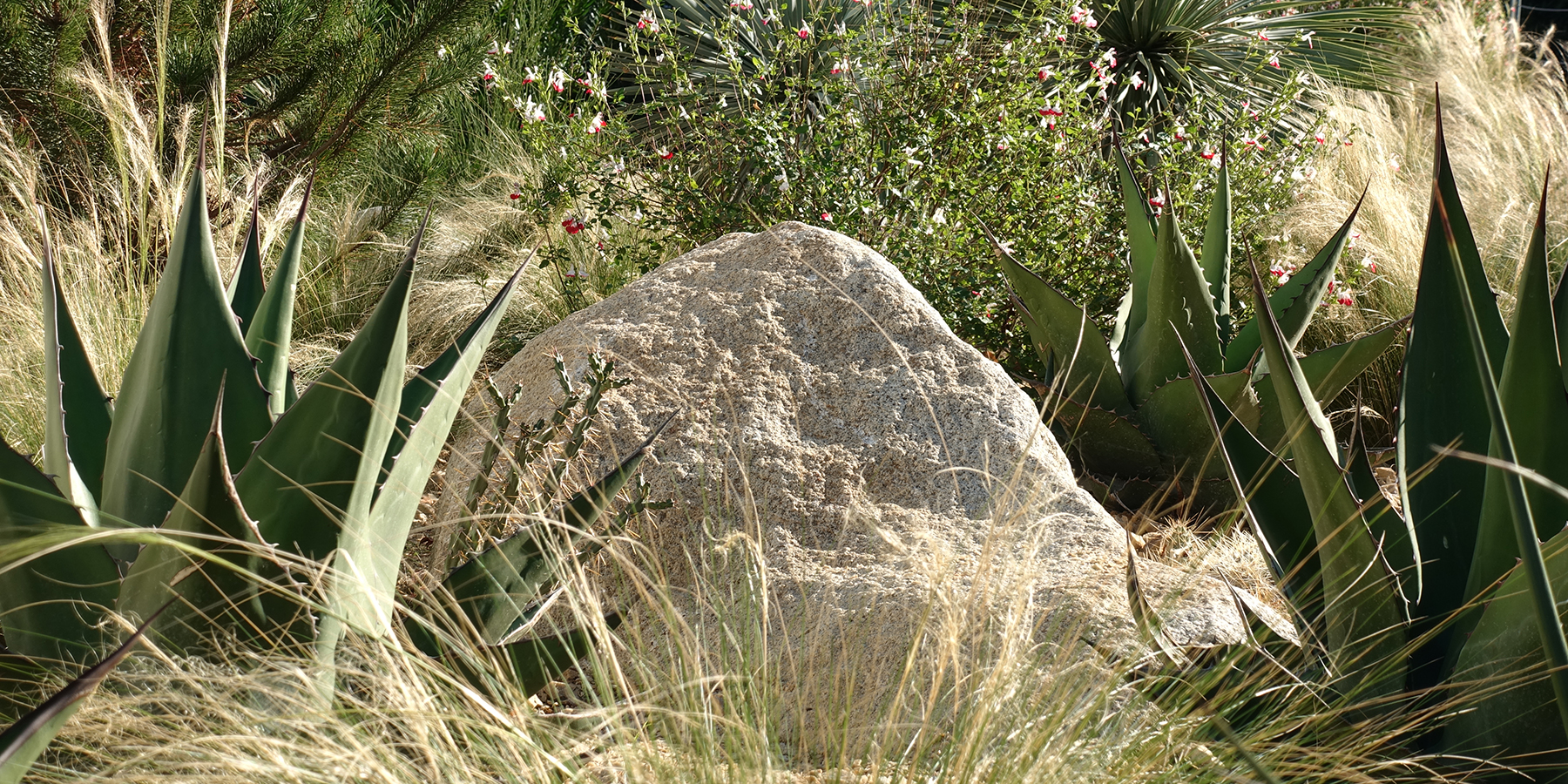 Point Defiance Zoo & Aquarium plantings