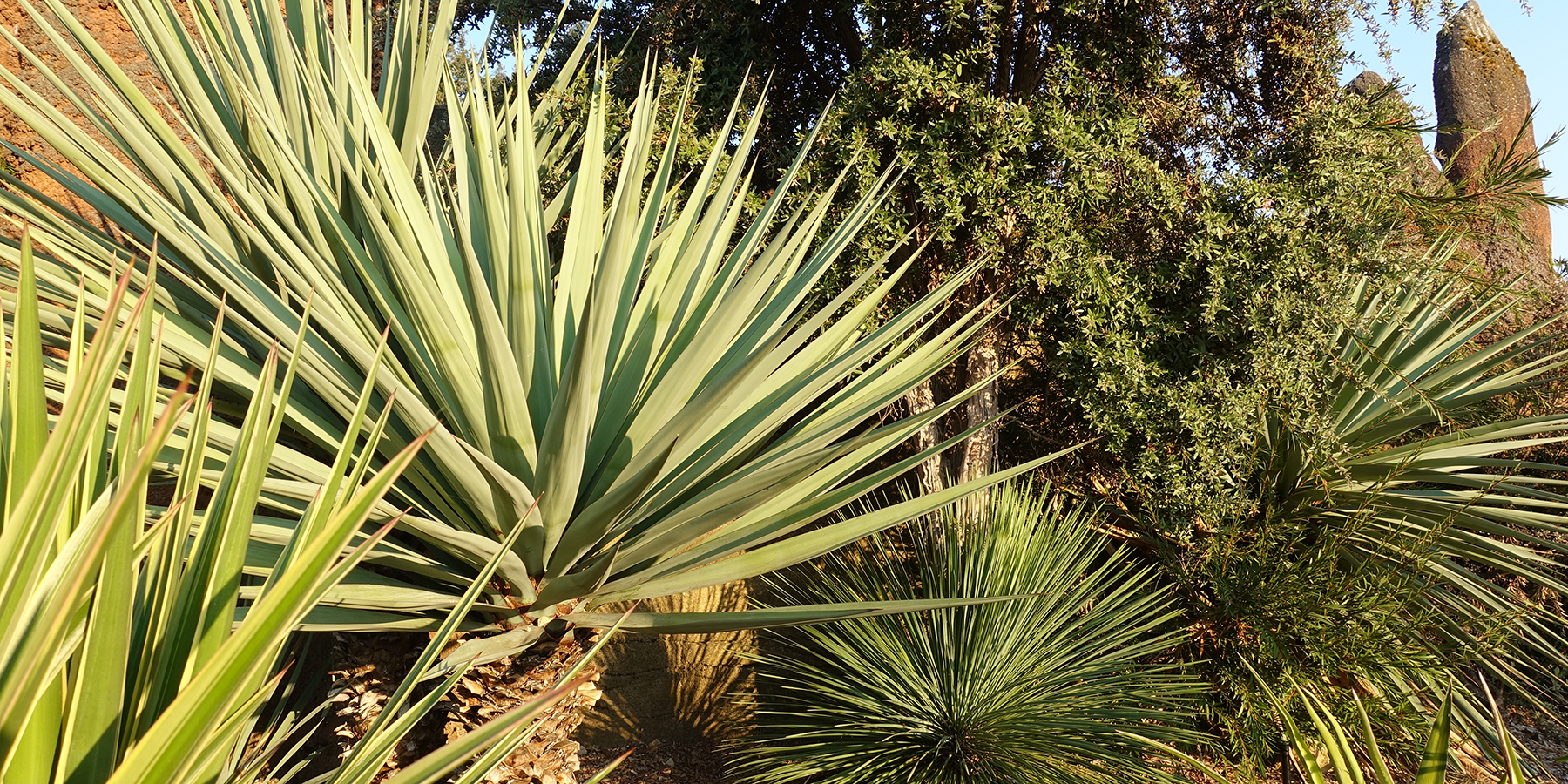 Point Defiance Zoo & Aquarium plantings