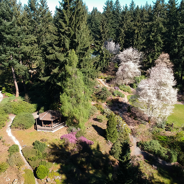 Skylar Lin RSF featured image