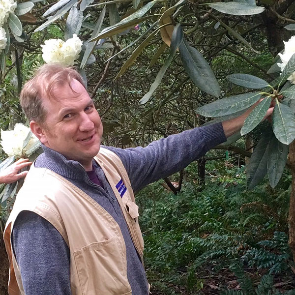 Ray Larson with Rhododendron macabeanum