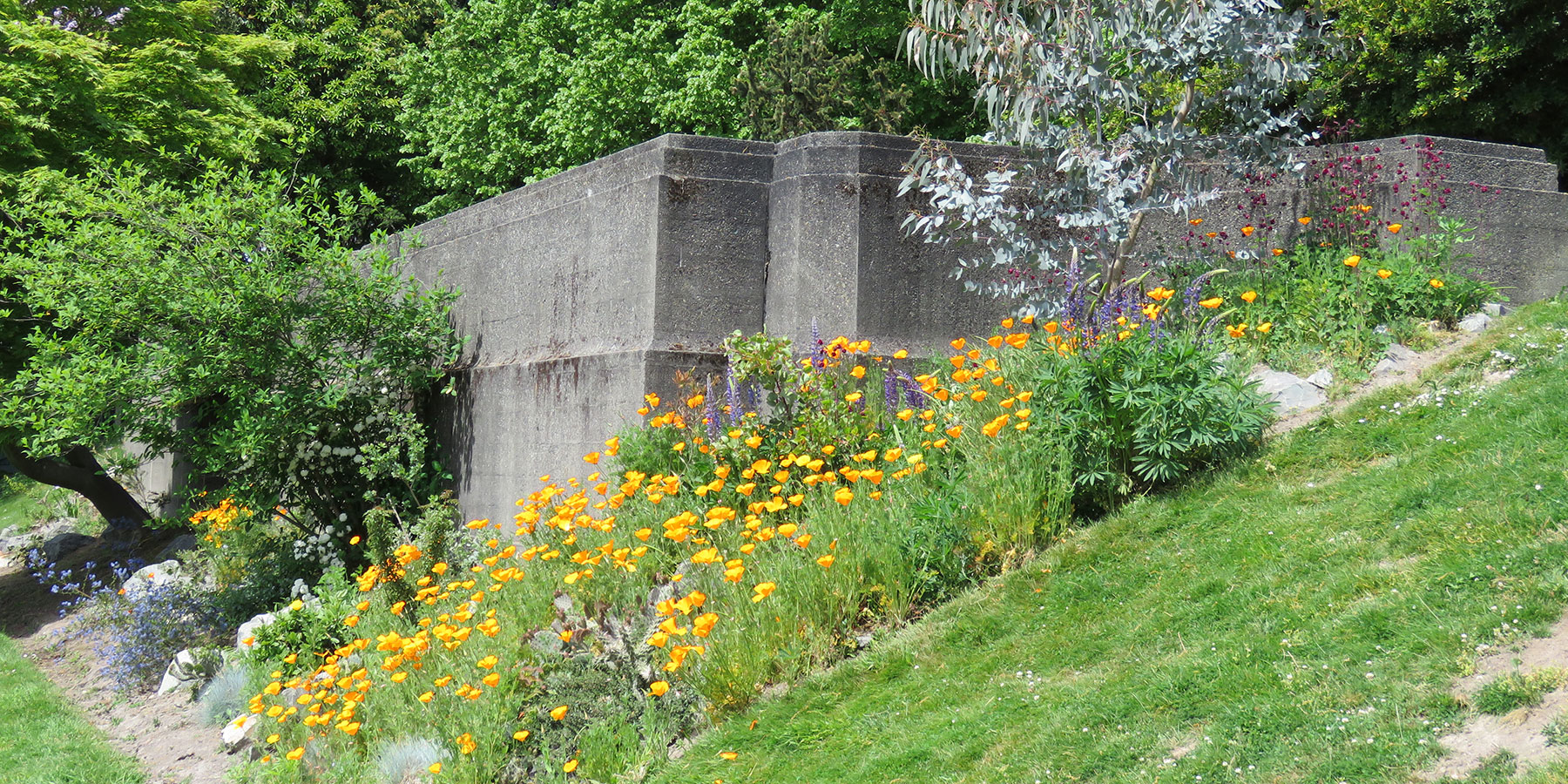 Carl S. English Jr. Botanical Garden