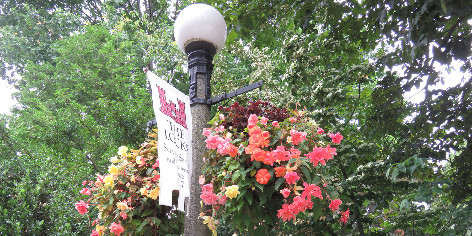 Carl S. English Jr. Botanical Garden hanging baskets