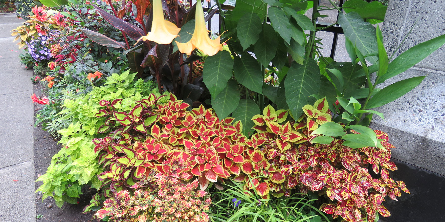 Carl S. English Jr. Botanical Garden seasonal planting