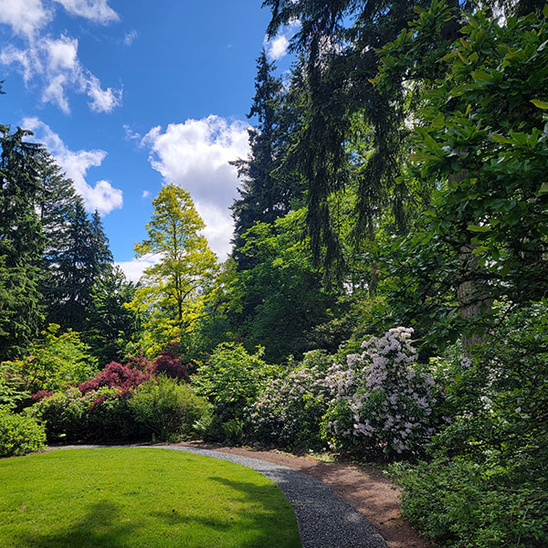 Rhody Ridge Arboretum, Bothell