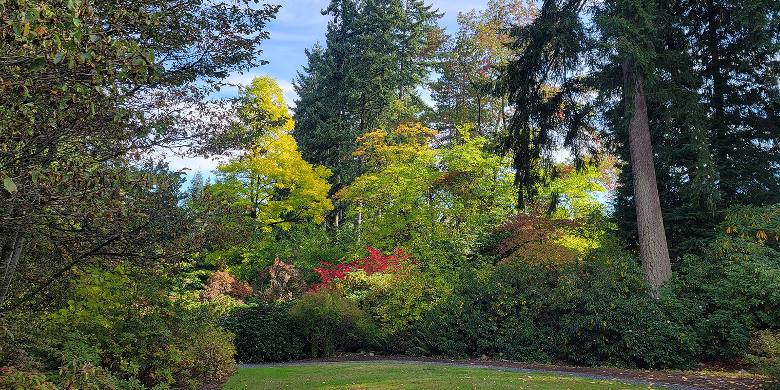 Rhody Ridge Arboretum