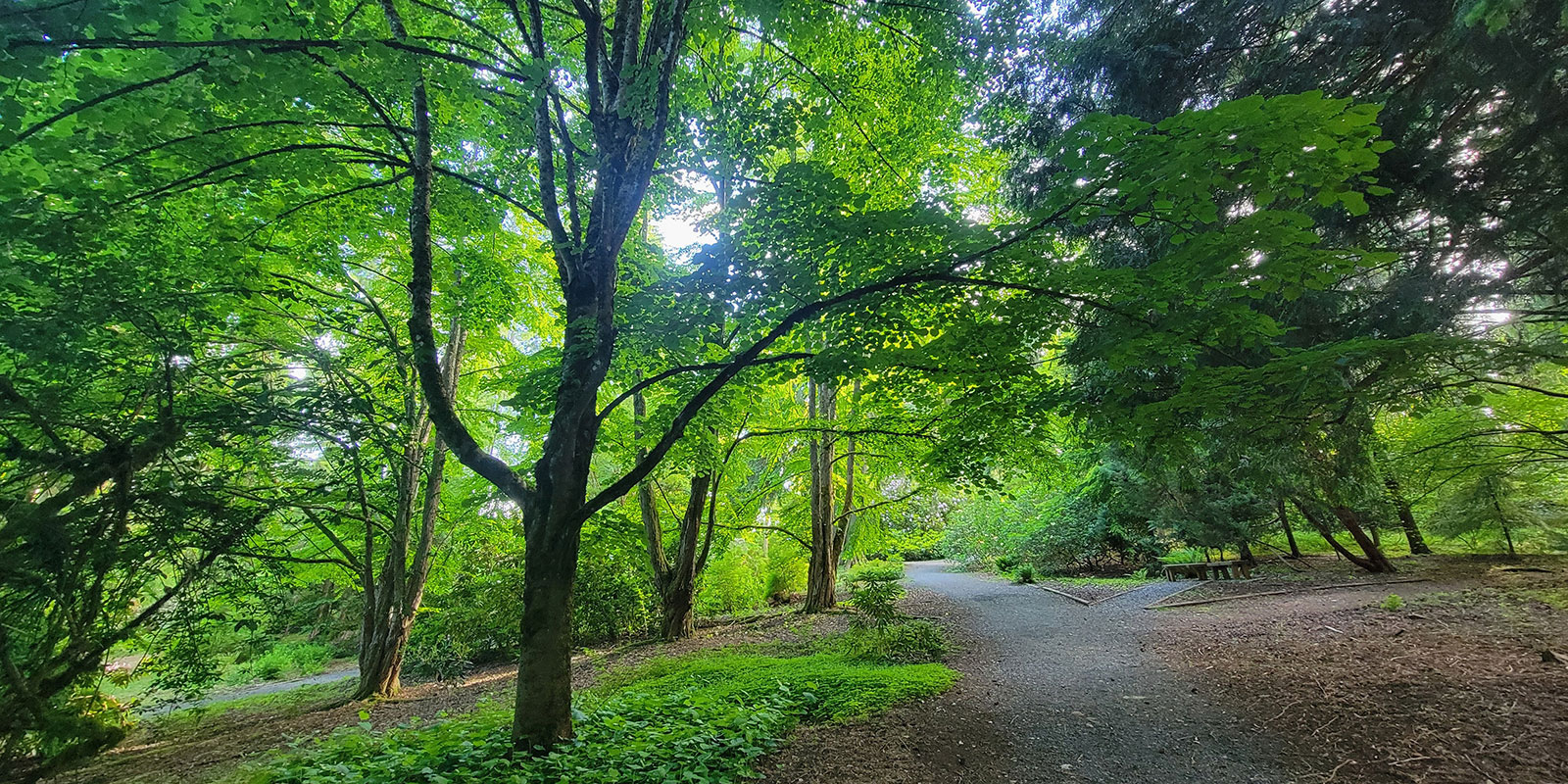 Rhody Ridge Arboretum