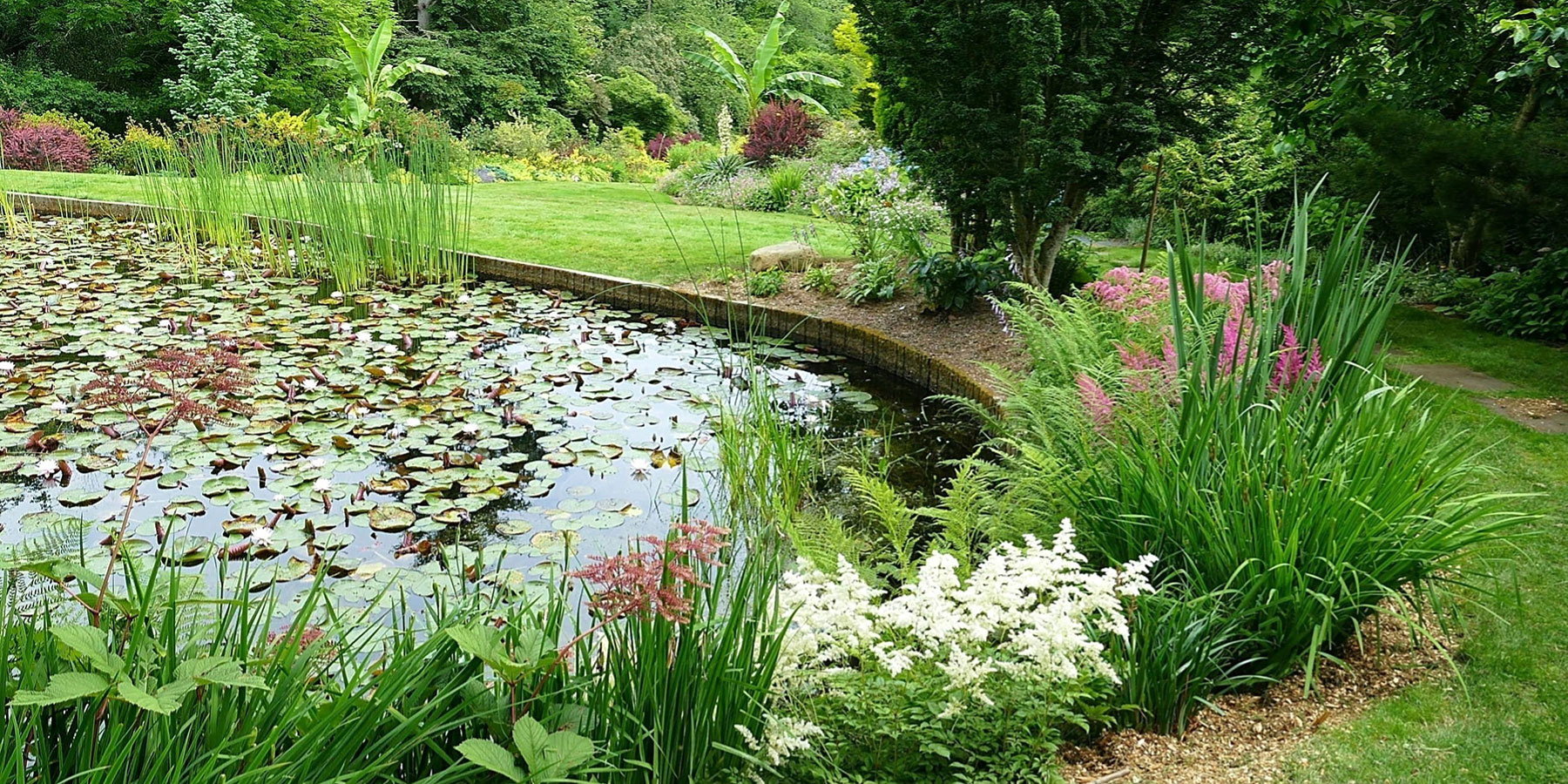 Heronswood Gardens, potager, Kingston, WA