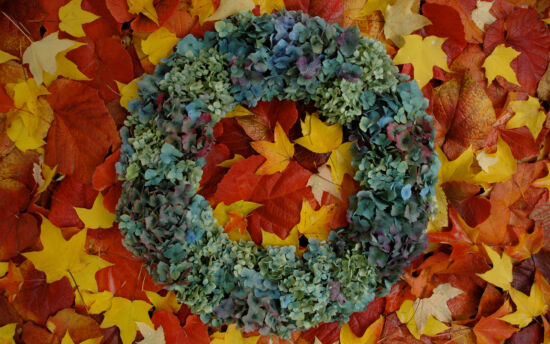 Charles Price Dunn Garden hydrangea wreath