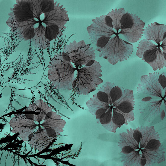 Hydrangeas on a pool photocollage