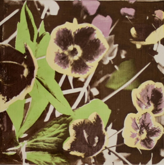 Hellebore tile