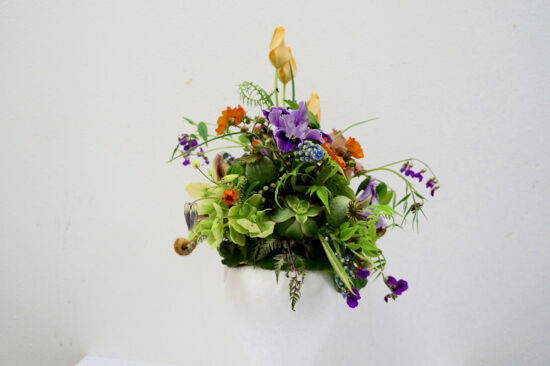 Center for Urban Horticulture Headpiece