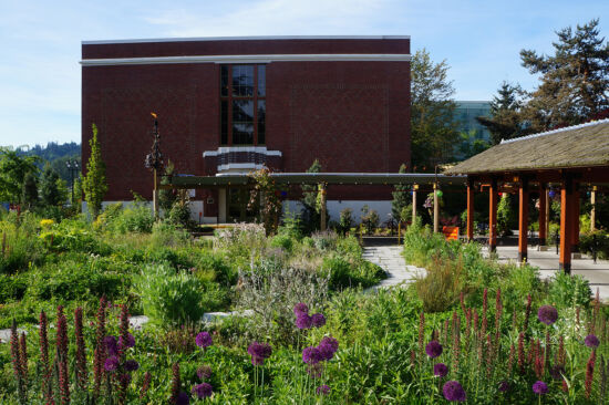 McMenamins Meadow