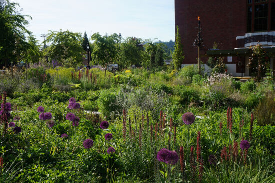 McMenamins Meadow