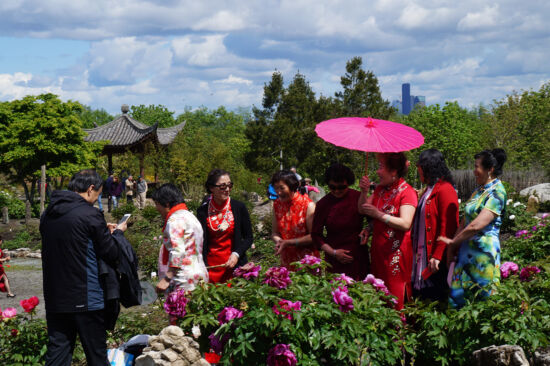 Seattle Chinese Garden