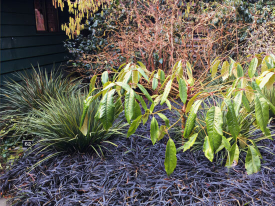 Heronswood, near house