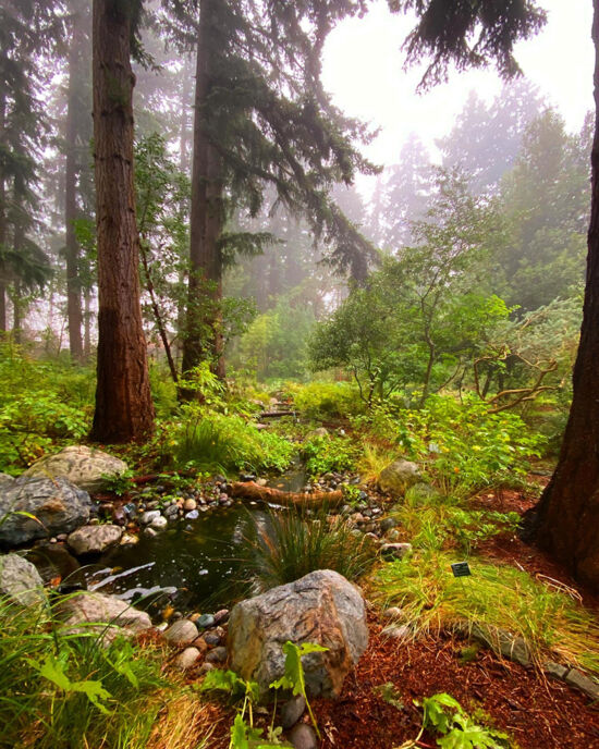 Misty morn Joe Abken photo, Misty morn