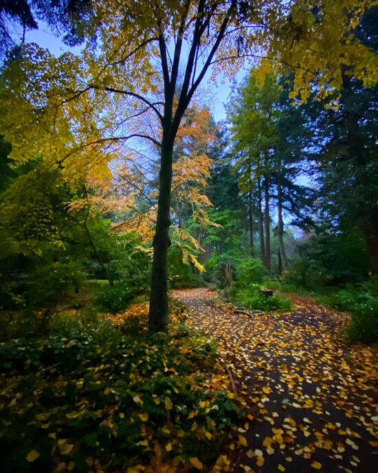 Morning Gloom Joe Abken photo, Morning Gloom