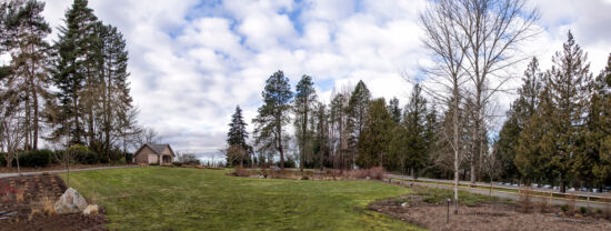 Unsightly lawn prior to meadow project Photo by Nancy Kartes, BBG POV