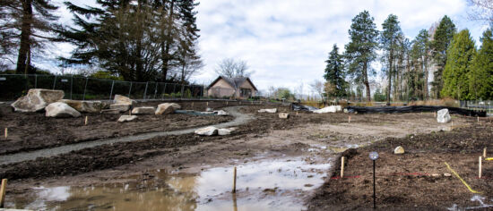 Meadow rocks Photo by Nancy Kartes, BBG POV