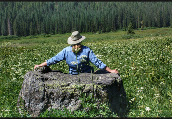 Nancy's basking stone at Tucquala Meadow Photo by Nancy Kartes, BBG POV