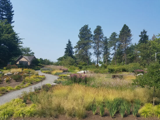 The meadow Photo by Nancy Kartes, BBG POV