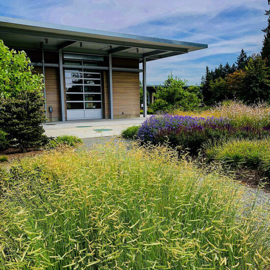 The meadow and the visitor's center Photo by Nancy Kartes, BBG POV