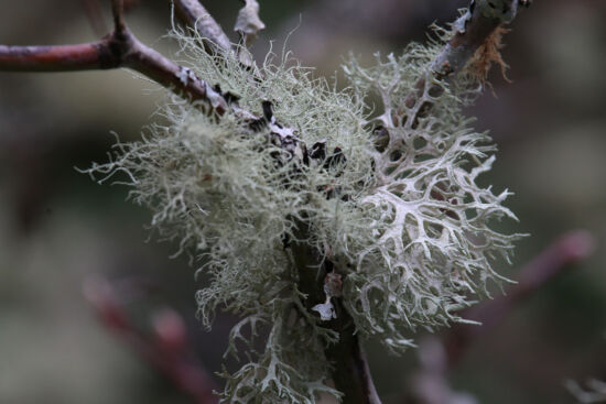 Photo by Richie Steffen, POV, EMBG