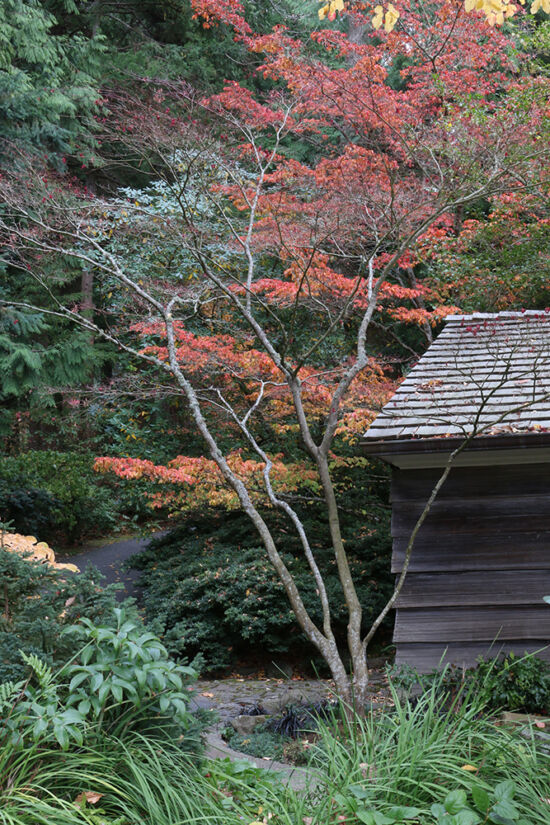 Photo by Richie Steffen, POV, EMBG