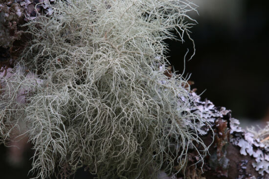 Photo by Richie Steffen, POV, EMBG