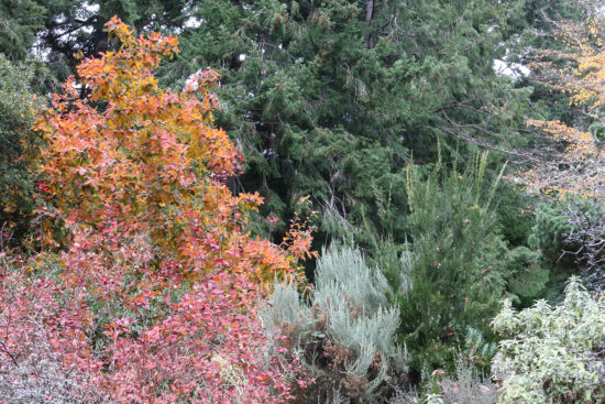 Photo by Richie Steffen, POV, EMBG