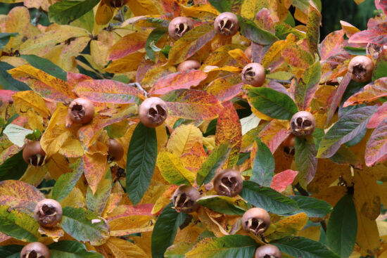 Photo by Richie Steffen, POV, EMBG