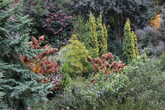 Photo by Richie Steffen, POV, EMBG