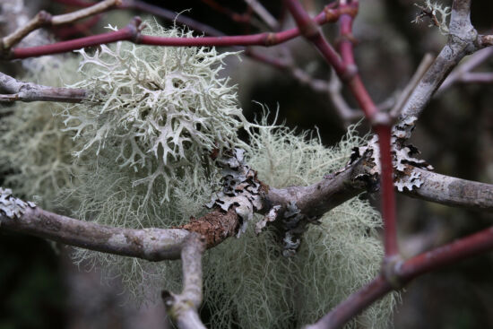 Photo by Richie Steffen, POV, EMBG