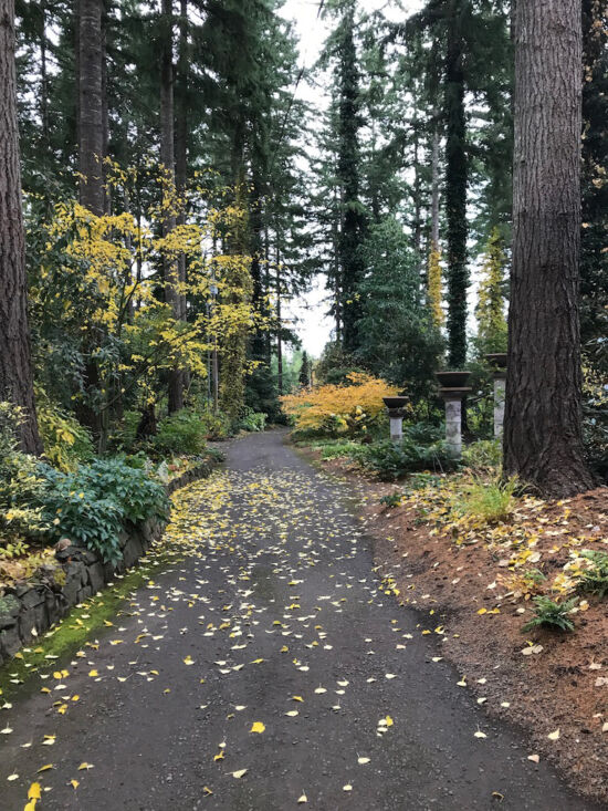 Driveway entrance