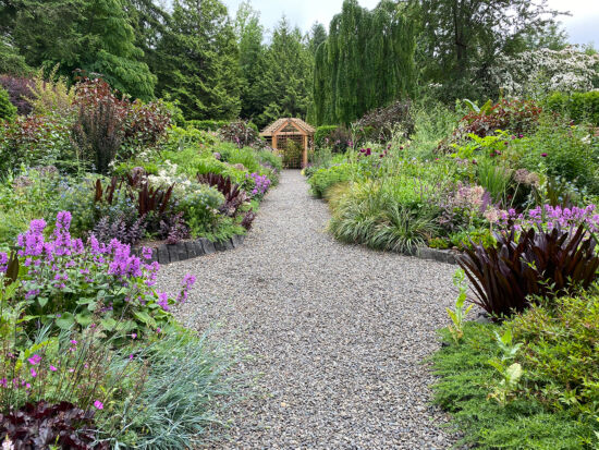 Perennial borders