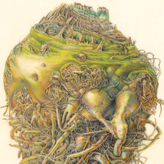 Jean Emmons, Celeriac (detail)