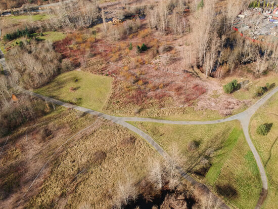 Union Bay Natural Area Union Bay Natural Area